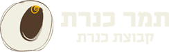 תמר כנרת